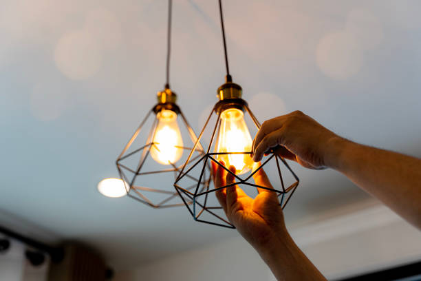Best Electric Panel Repair  in Rosharon, TX